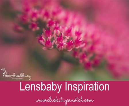 Lensbaby Inspiration by Tracy Bradbury