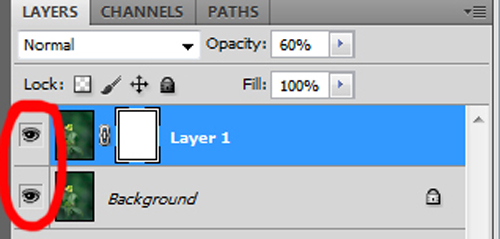 Photoshop Editing: Understanding Layers