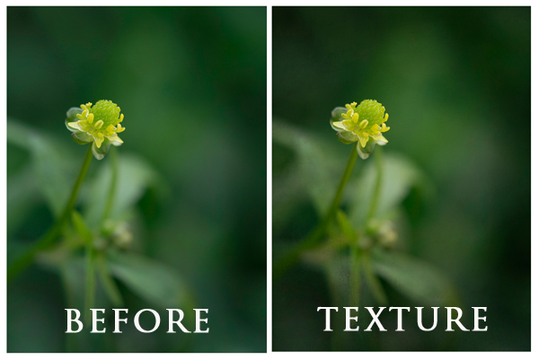 photoshop editing: using textures