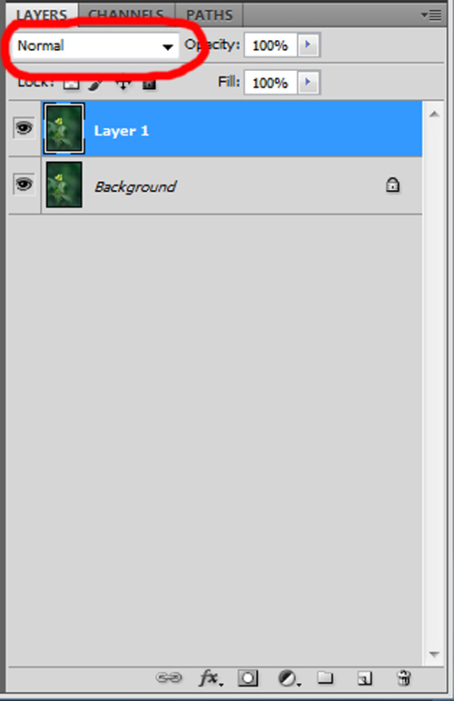 photoshop editing: editing in layers