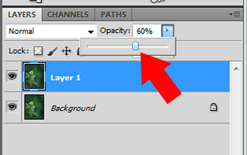 Photoshop Editing: Understanding Layers