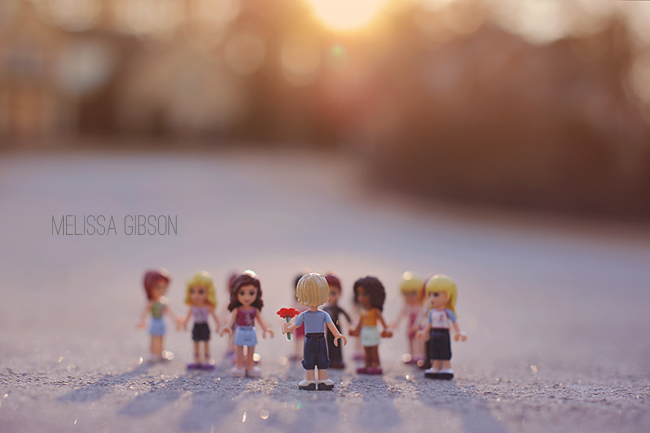 Photography Project Inspiration - The Toy Project by Melissa Gibson via Click it Up a Notch