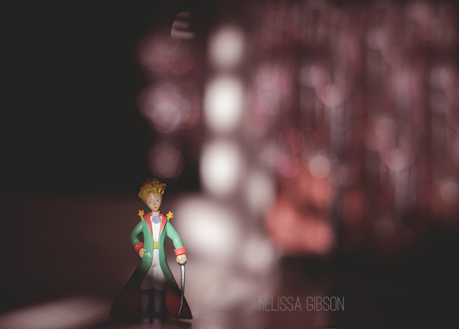 Photography Project Inspiration - The Toy Project by Melissa Gibson via Click it Up a Notch