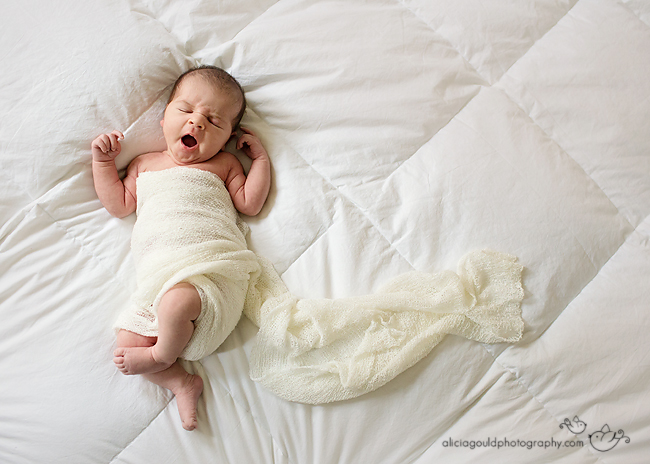 Newborn Photography by Alicia Gould 1