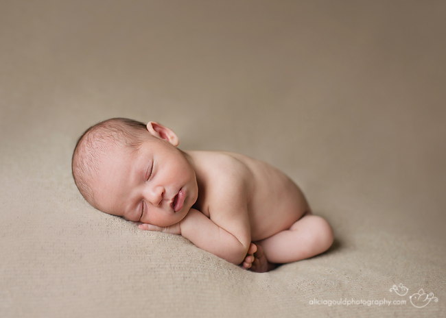 Newborn Photography by Alicia Gould 3
