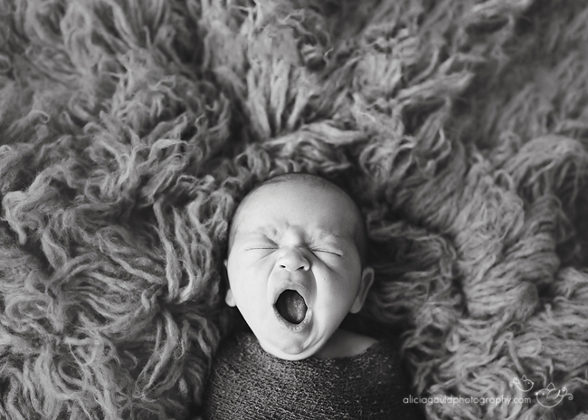 Newborn Photography by Alicia Gould 4