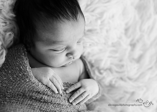 Newborn Photography by Alicia Gould 9