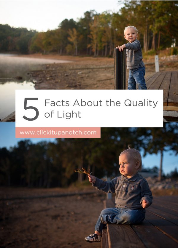 This is a great article if you're trying to figure out hard and soft light! Read - "5 Facts About the Quality of Light"