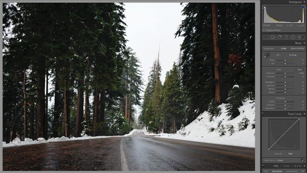 Photo from lightroom of a snowy picture and a histogram to show exposure tips photography