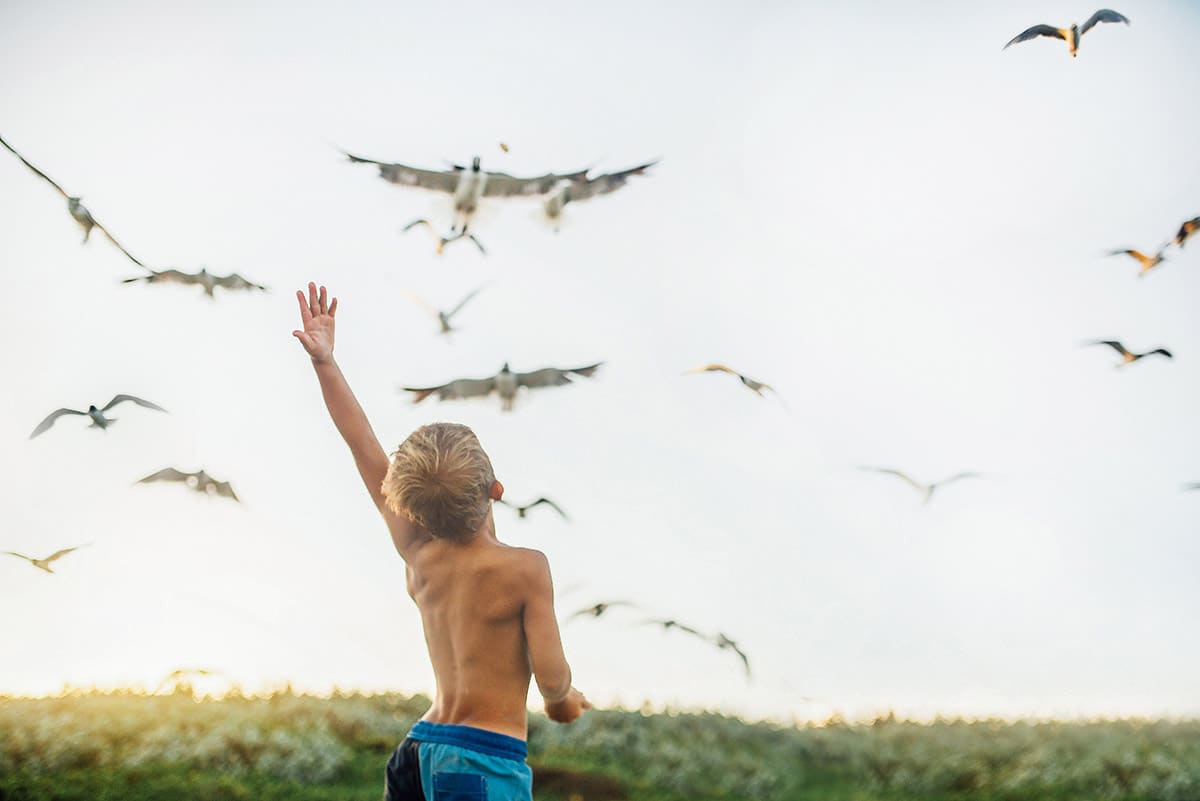 Child waving at seaguls flying by in a candid photo