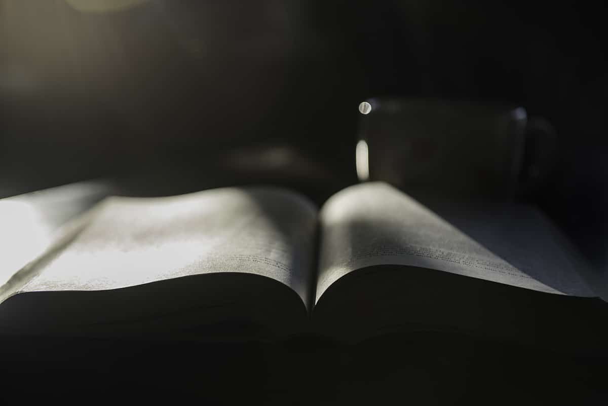 Black and white photo of dramatic light on a book