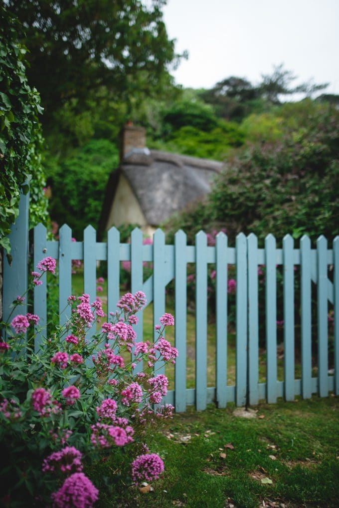 A photo of a cottage with a blue fence and pink flowers.