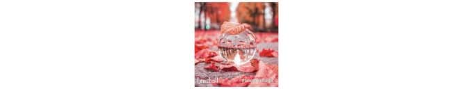 A lens ball on a concrete path with red and orange leaves surrounding it. There is a reflection of the background of rows of trees in the ball. This is a great gift for photographers.