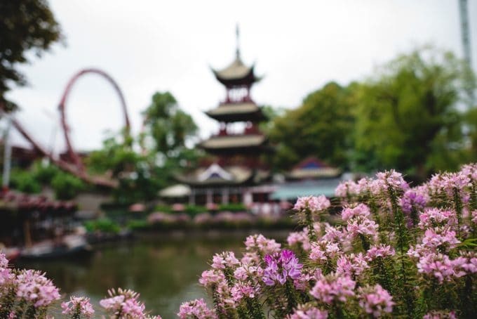 Pink flowers in the foreground and a Japanese building blurred in the back to show a deeper depth of field.