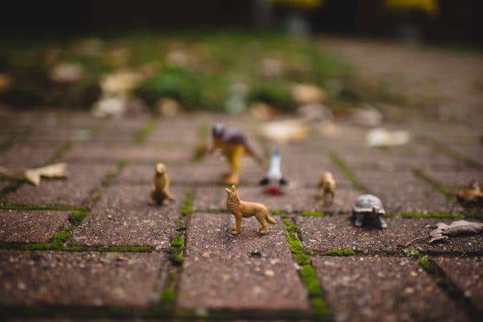 Toys on a sidewalk with one animal in focus.